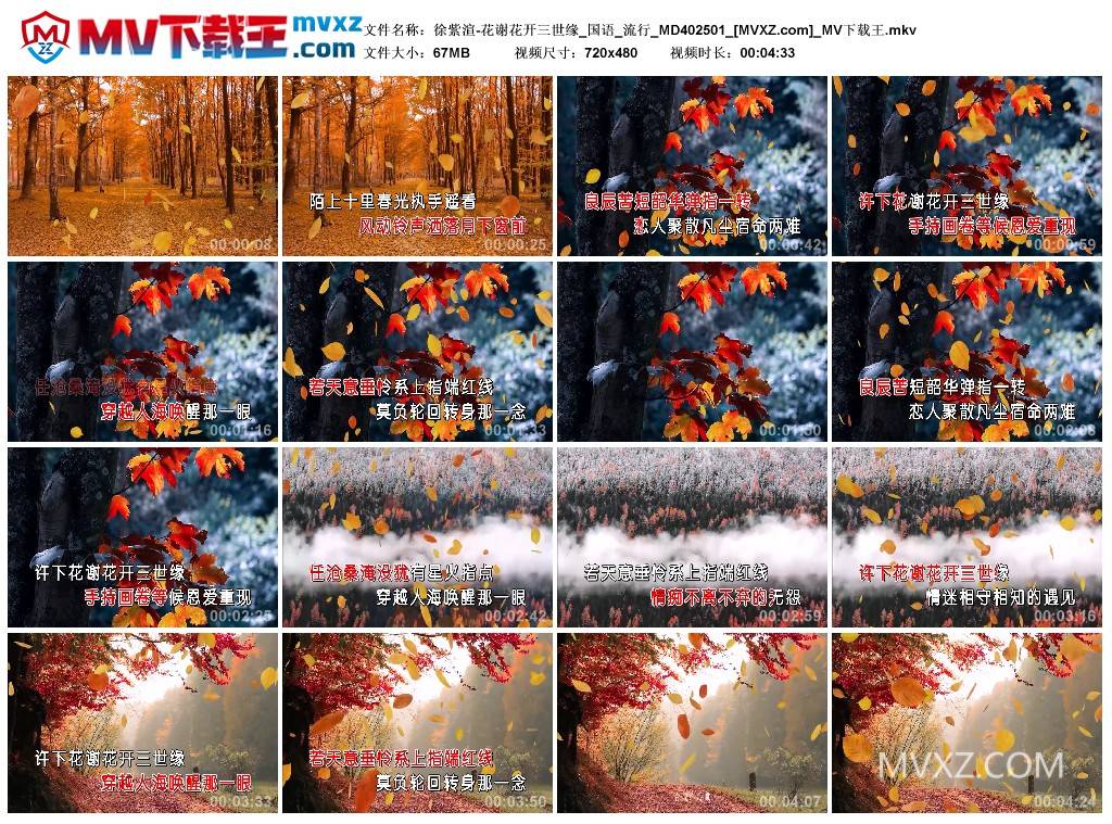徐紫渲-花谢花开三世缘_国语_流行_MD402501